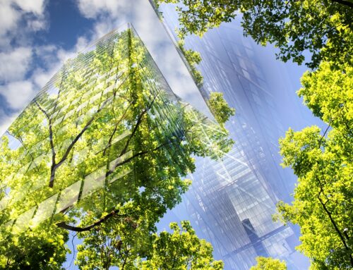 The ultimate guide to reducing construction’s environmental impacts