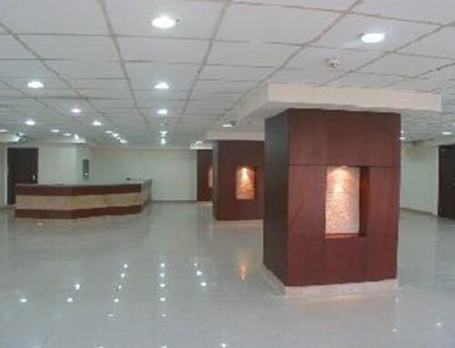 Egyptian Institute Bank Cafe Development